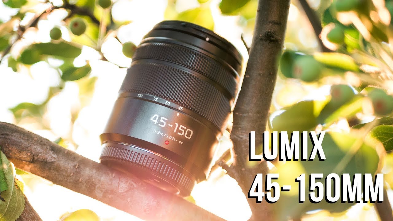 Panasonic Lumix 45-150mm Lens Review - $200 BUDGET Tele Zoom!!