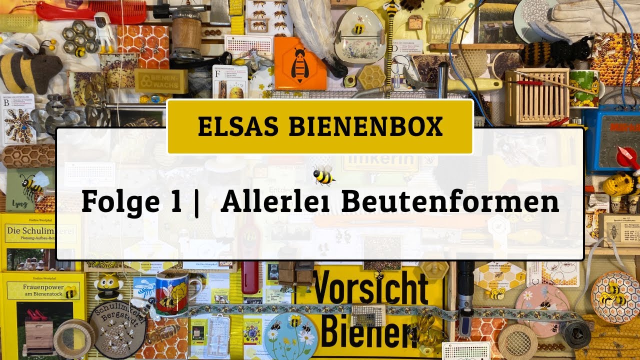 Folge 1 | Allerlei Beutenformen