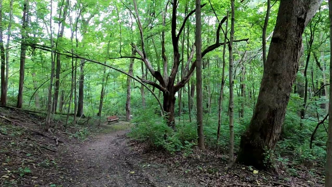 John Husar Trail Franklin Grove