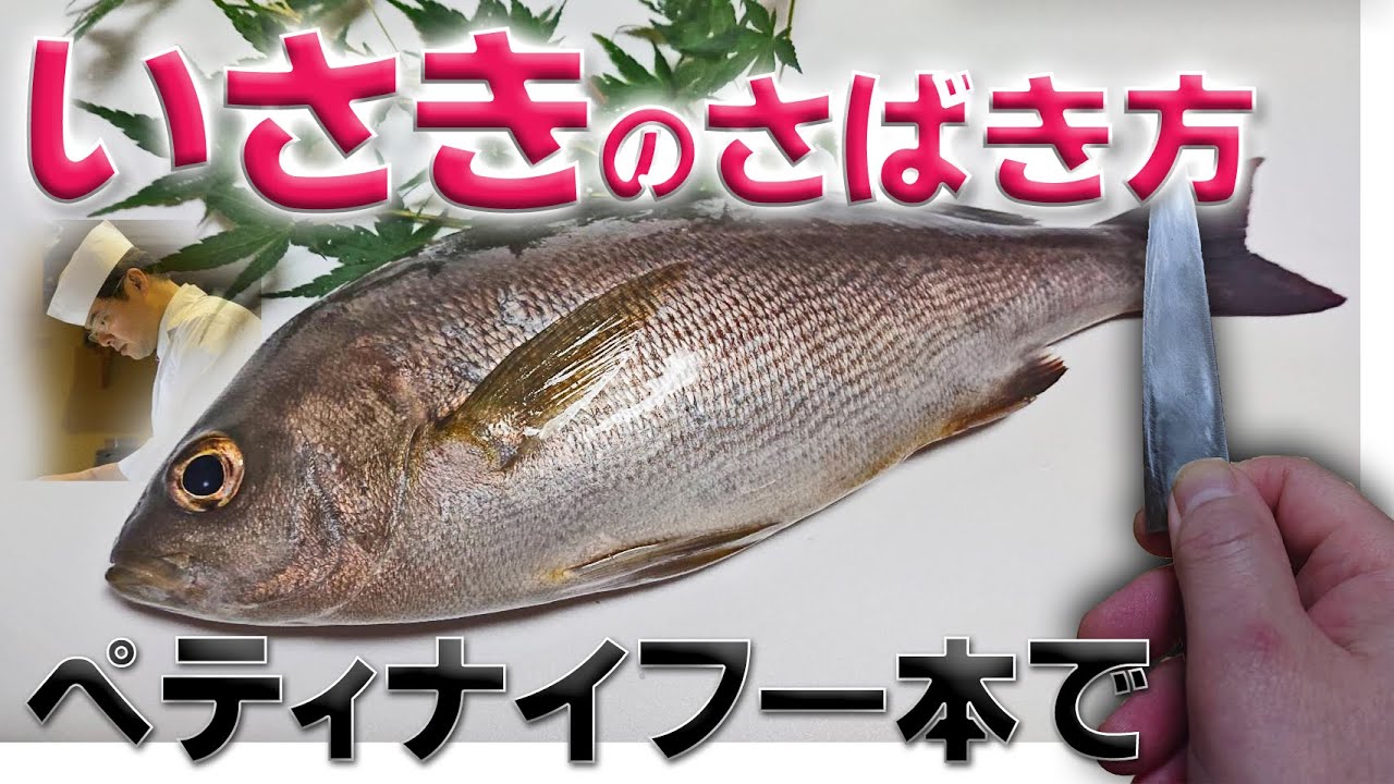 ペティナイフ一本で！イサキ「伊佐木」のさばき方（姿造り編）ワサビ チューブ を限りなく本物に近づける方法