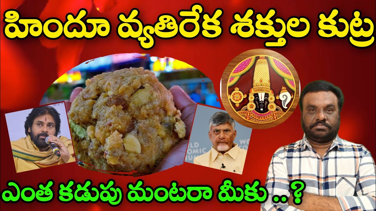 హిందూ వ్యతిరేక శక్తుల కుట్ర | tirumala laddu issue | BC REDDY VLOGS |