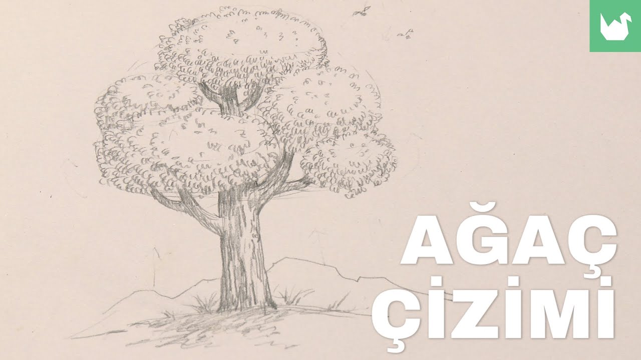 Ağaç Nasıl Çizilir?