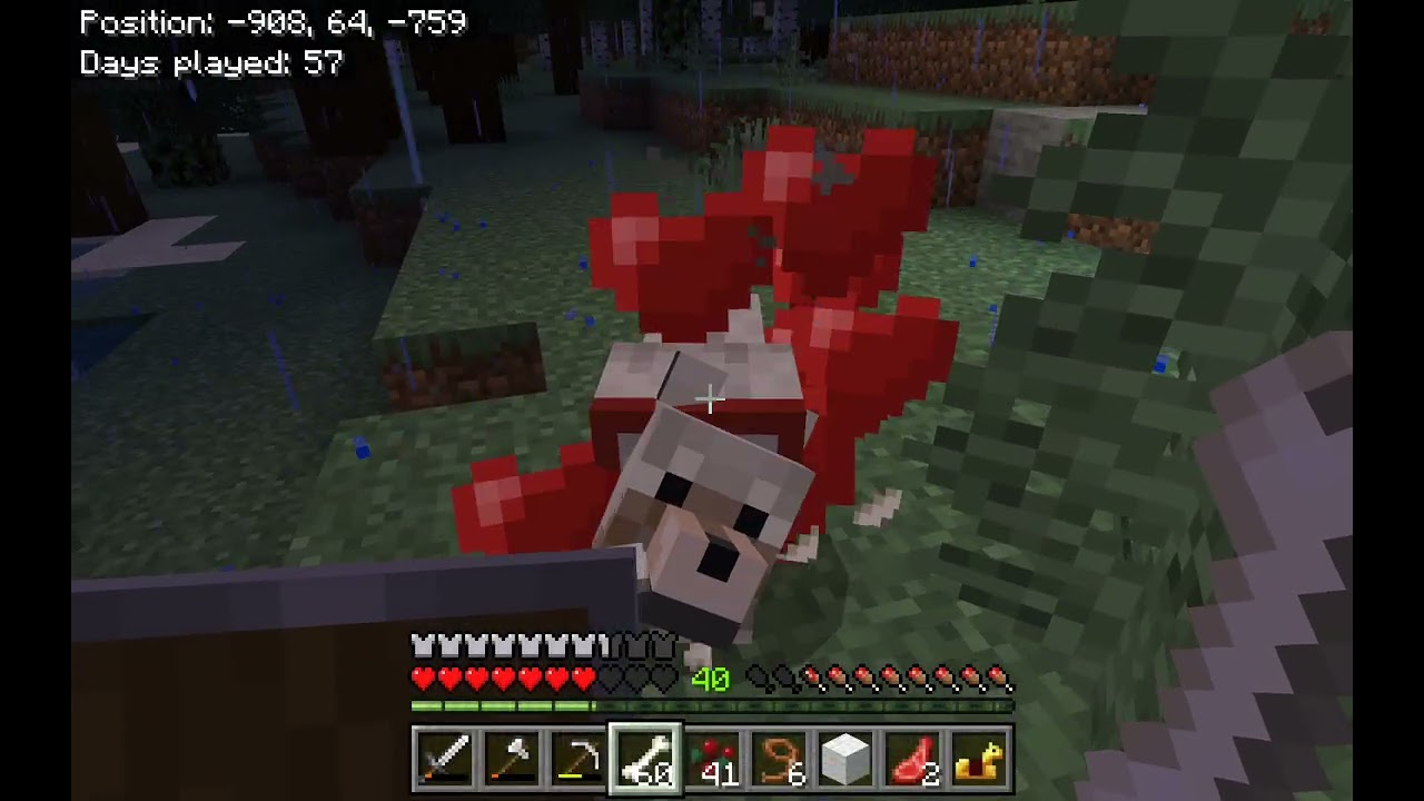 TRYING TO GET THE WOLF VARIANTS IN 100 DAY - MINECRAFT SURVIVAL PT. 2