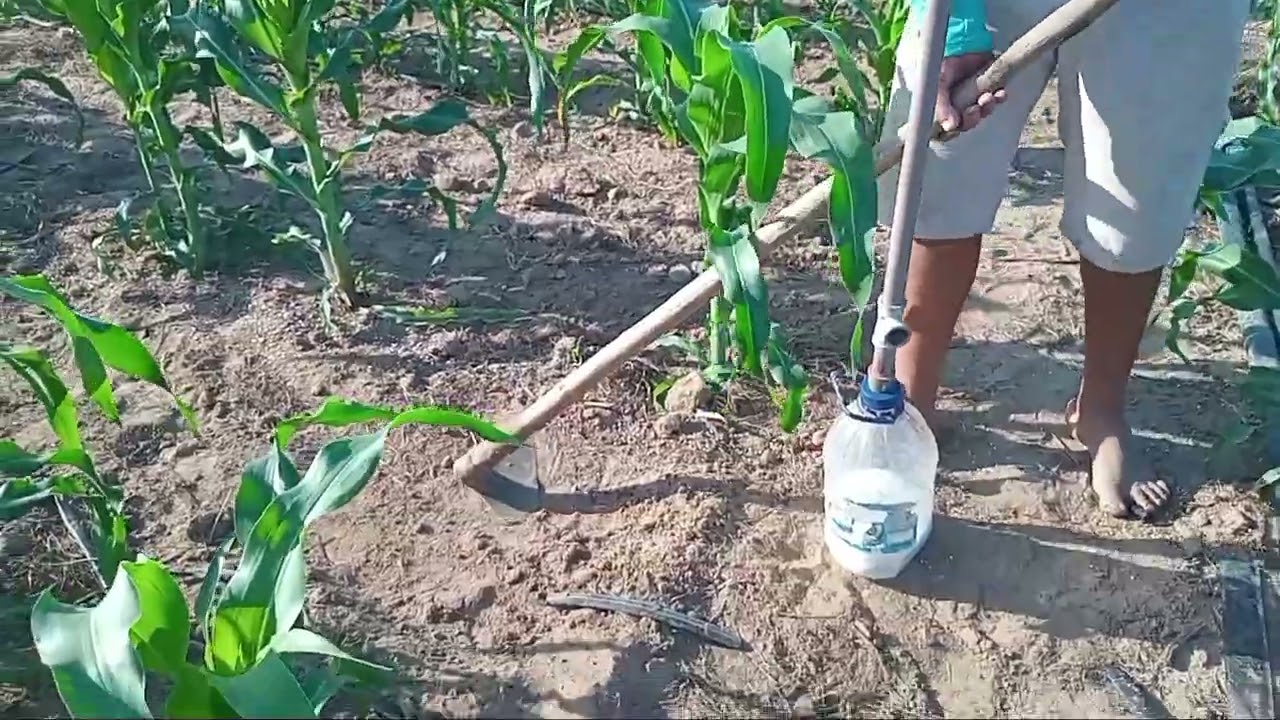 Vejam só! Uma maneira mais fácil de adubar as plantações!