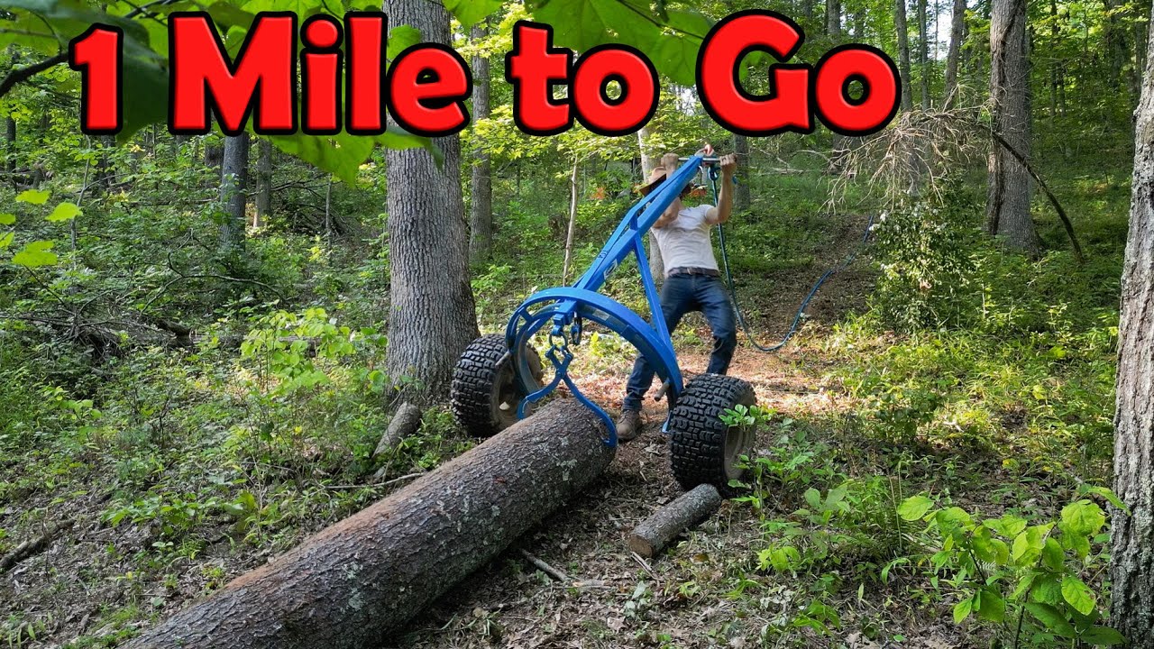 How I Harvest Fallen Trees