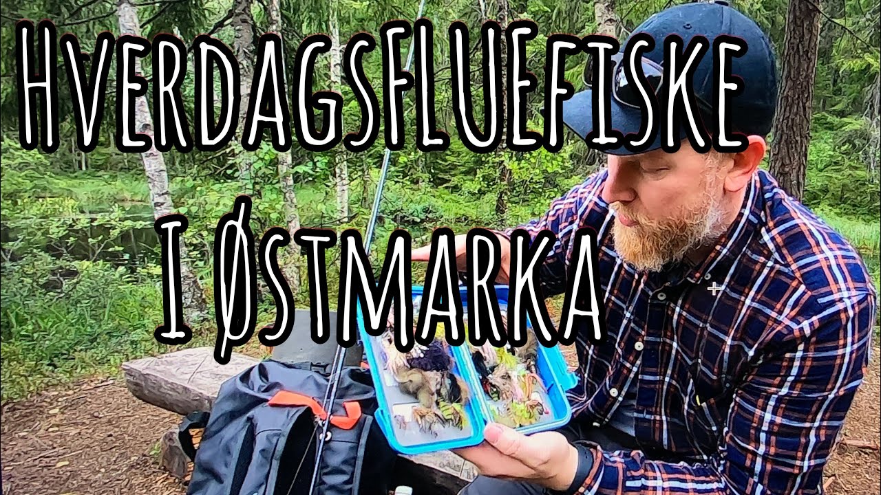 HverdagsFLUEfiske i Østmarka