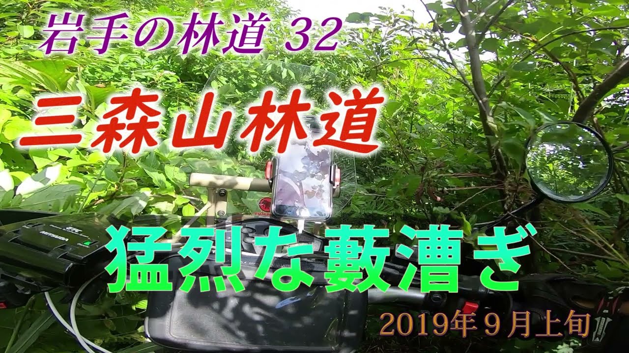 再UP セローで走る岩手の林道32 三森山林道での猛烈藪漕ぎ