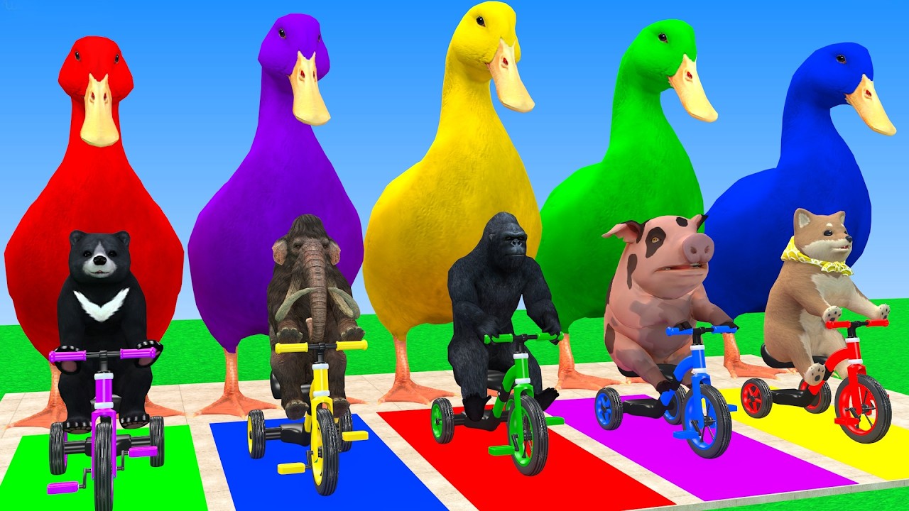 Long Slide Game With Cow Elephant Gorilla Hippopotamus Tiger 3d Animal Game Funny 3d Animals