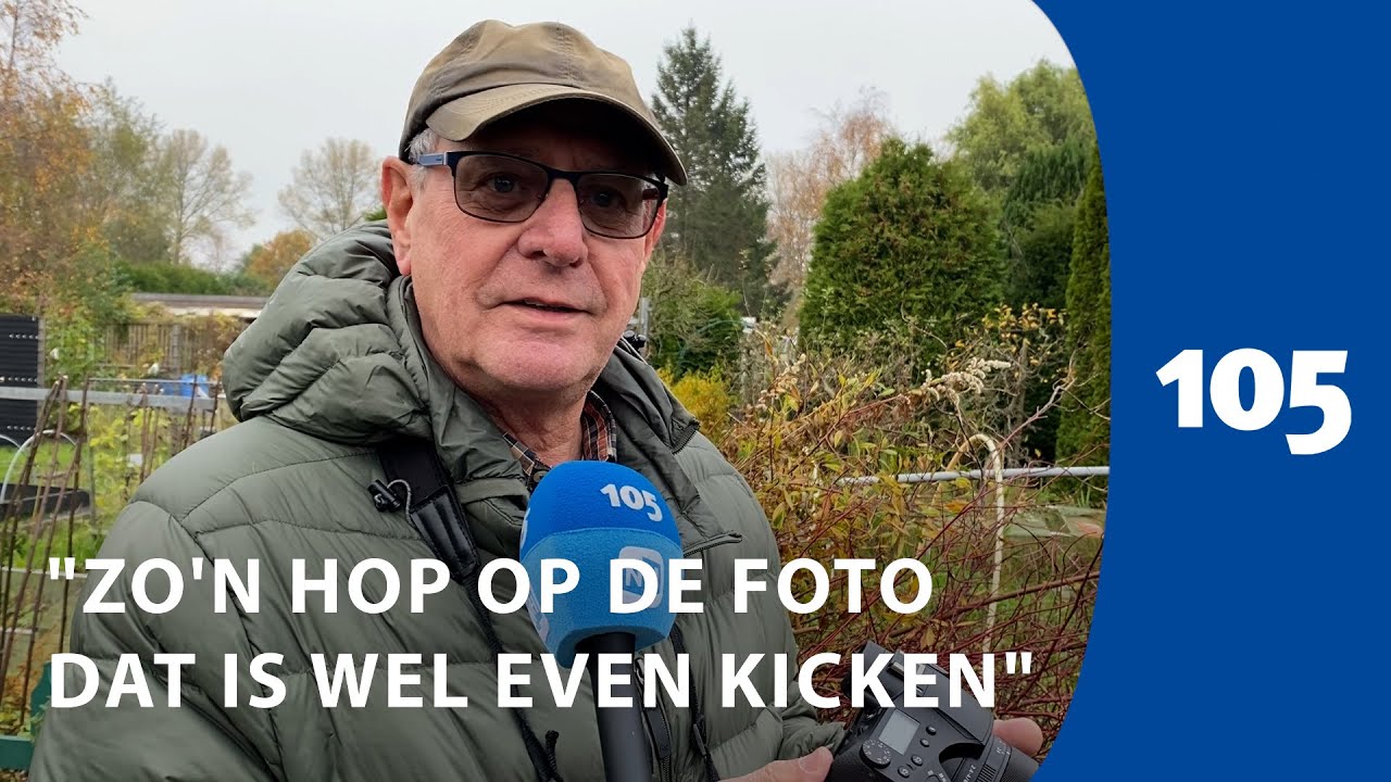 Vogelaars hopen op glimp van hop: 'Waarschijnlijk blijf de vogel nog een paar dagen'