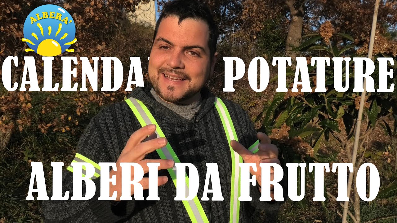 (CALENDARIO POTATURE) QUANDO POTARE, PERIODO POTATURA PIANTE DA FRUTTO