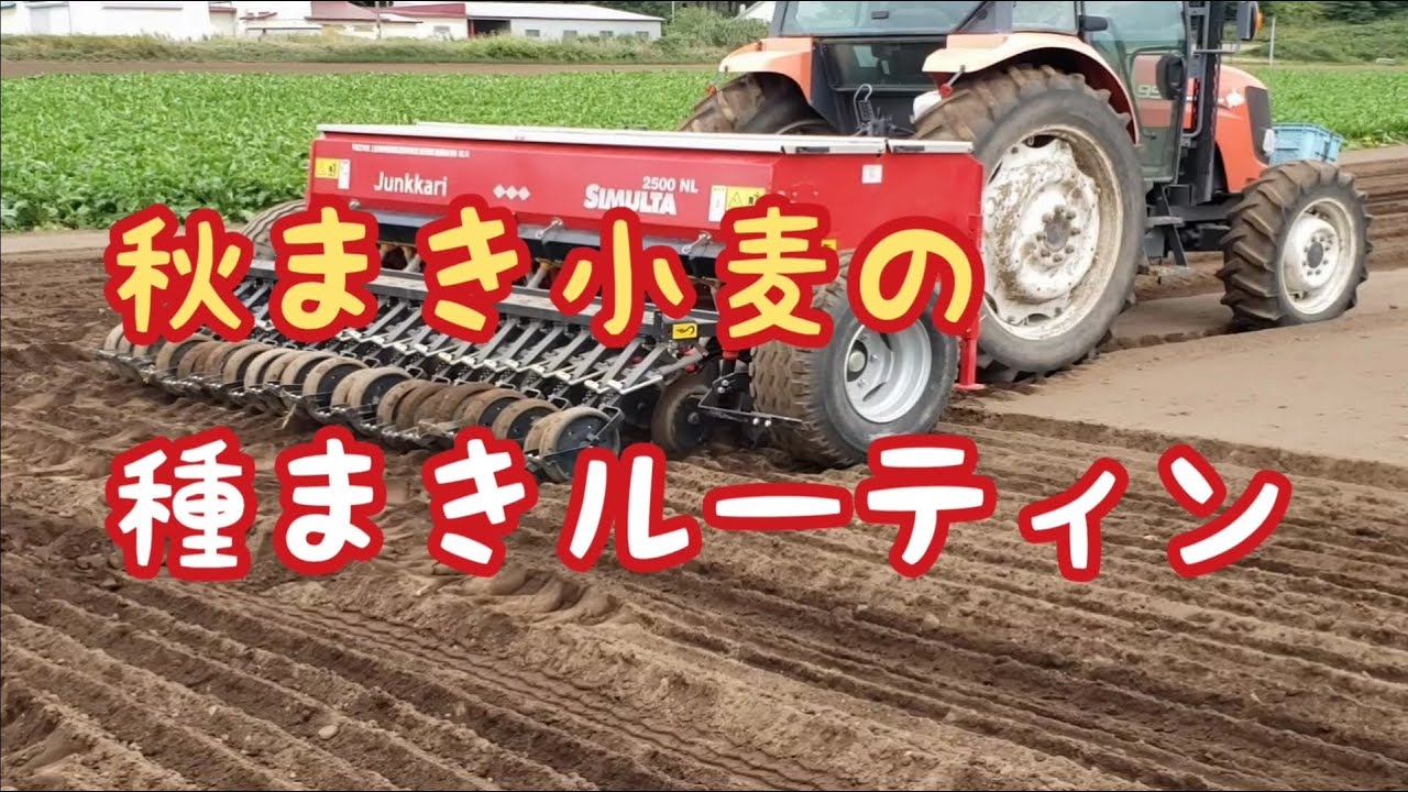 秋まき小麦の種まきルーティン【田舎生活のVlog】#47