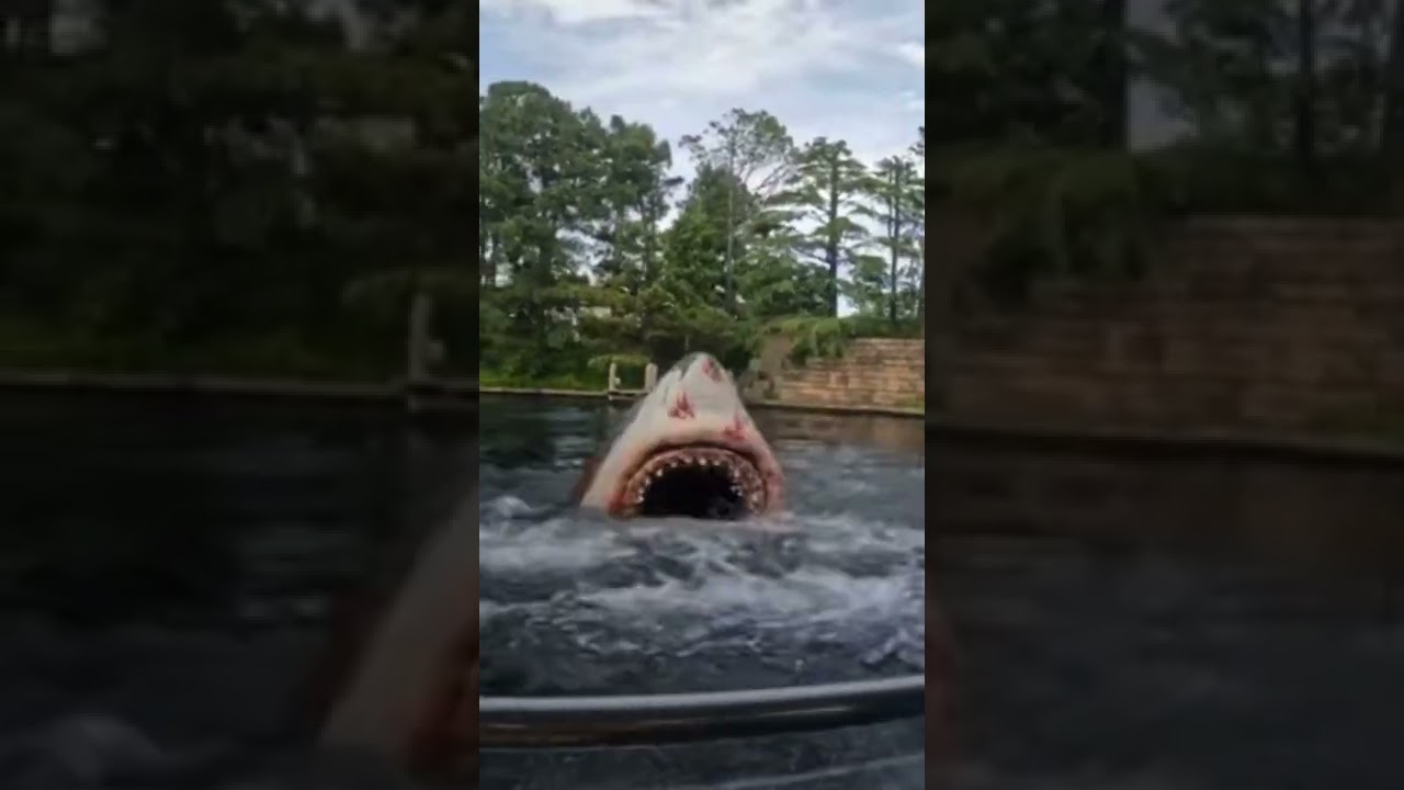 Jaws ride 2021