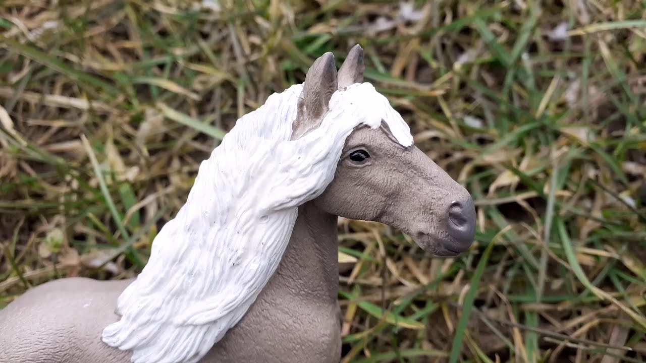 Dzika Dolina przygody koni odc 1 Ciąża kali i nowa klacz 🐎💕{nowy sezon}