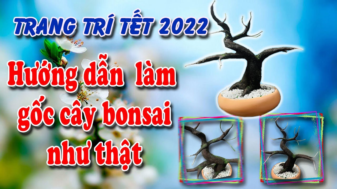 How To Make a Bonsai Tree I Hướng Dẫn Làm Cây Bonsai Hoa Mai và Hoa Đào Như Cây Thật