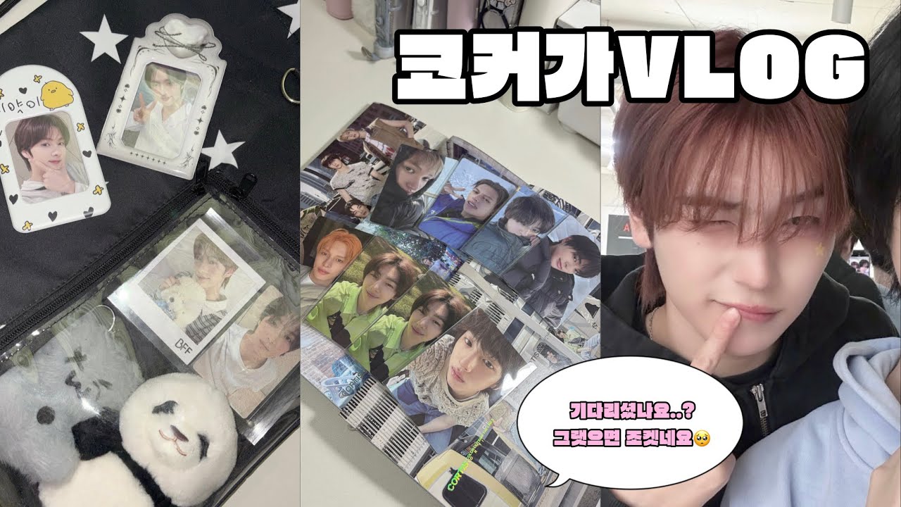 [ 코커가 브이로그 ] What you  want?!‧₊⋆ ₊ ﾟ ☽ •붕어빵키링 •앨범깡 •짐색 