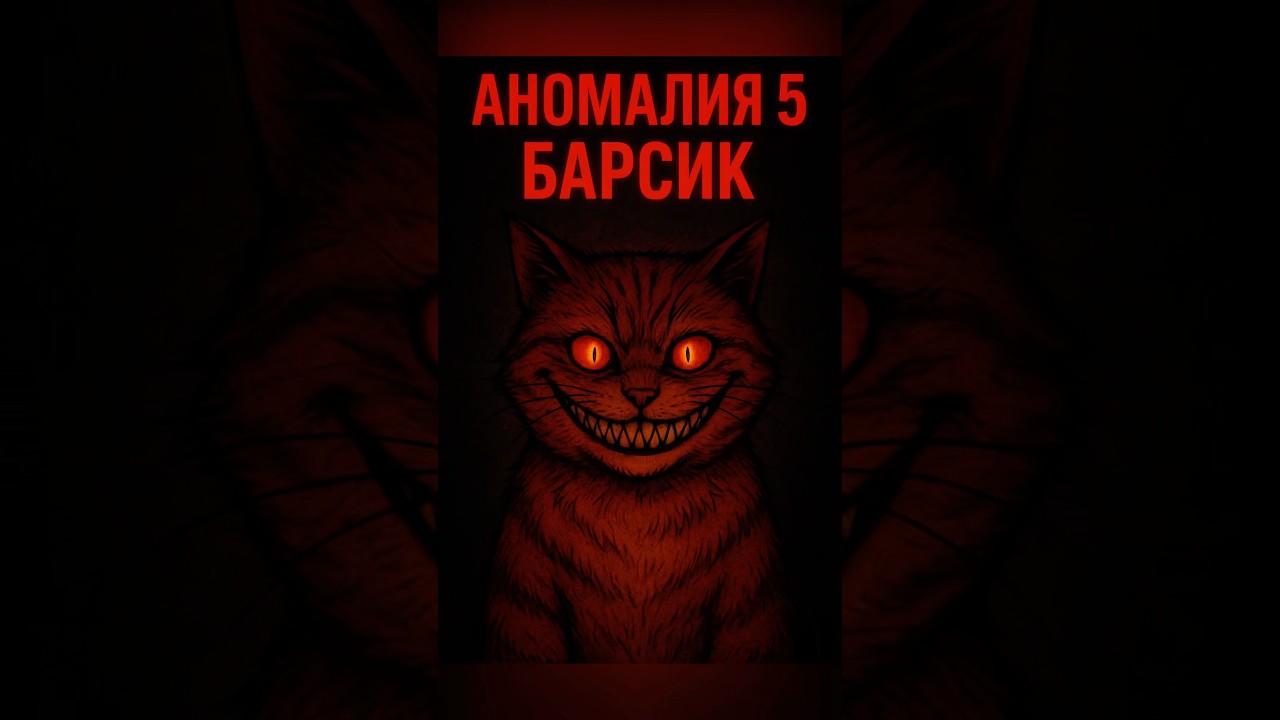 &laquo;БАРСИК&raquo; Аномалия 5 #аномалия #аномалии #инструкции #мистика #барсик #кот #котик #аномальныйкот
