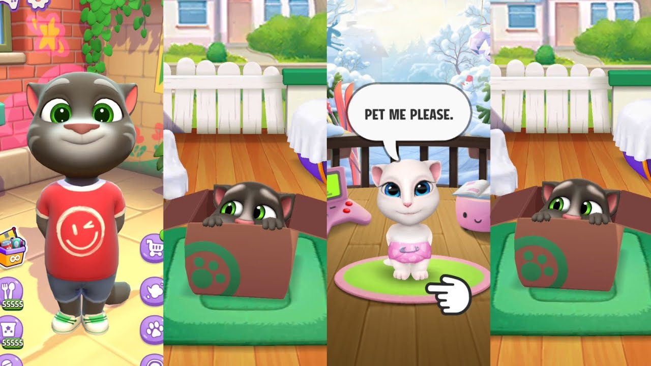 Tom cat vs hank Island 