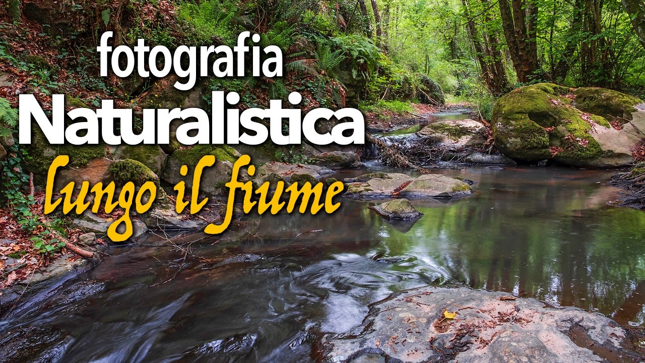 Fotografare in Natura, con un po’ di macro