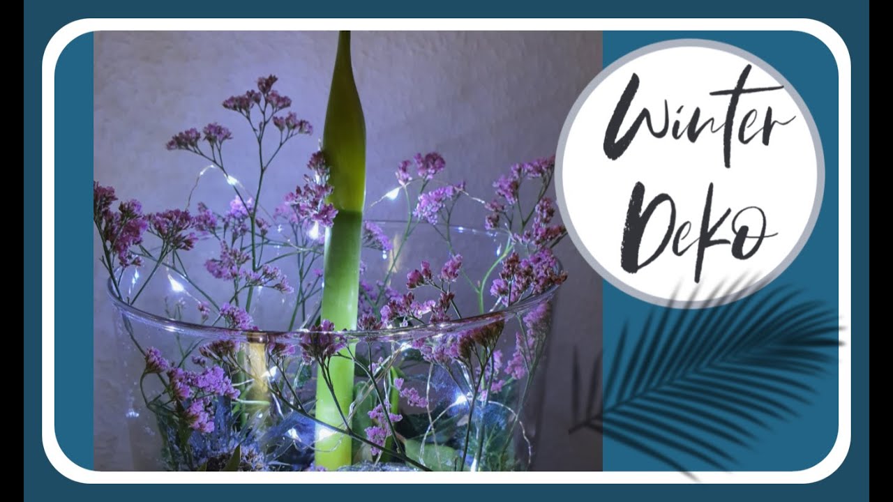 Wie du eine Amaryllis im Glas winterlich dekorierst I Geschenkidee I DIY DEKO Idee I KatisweltTV