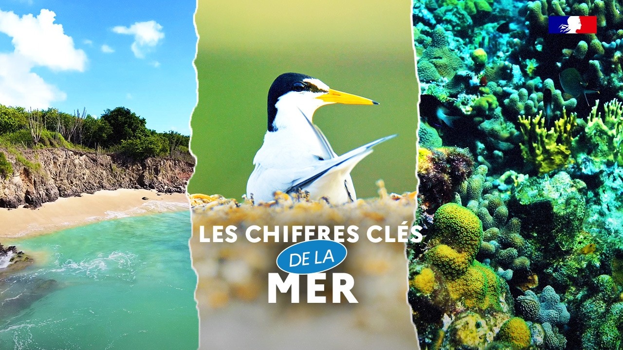 Les chiffres clés de la mer