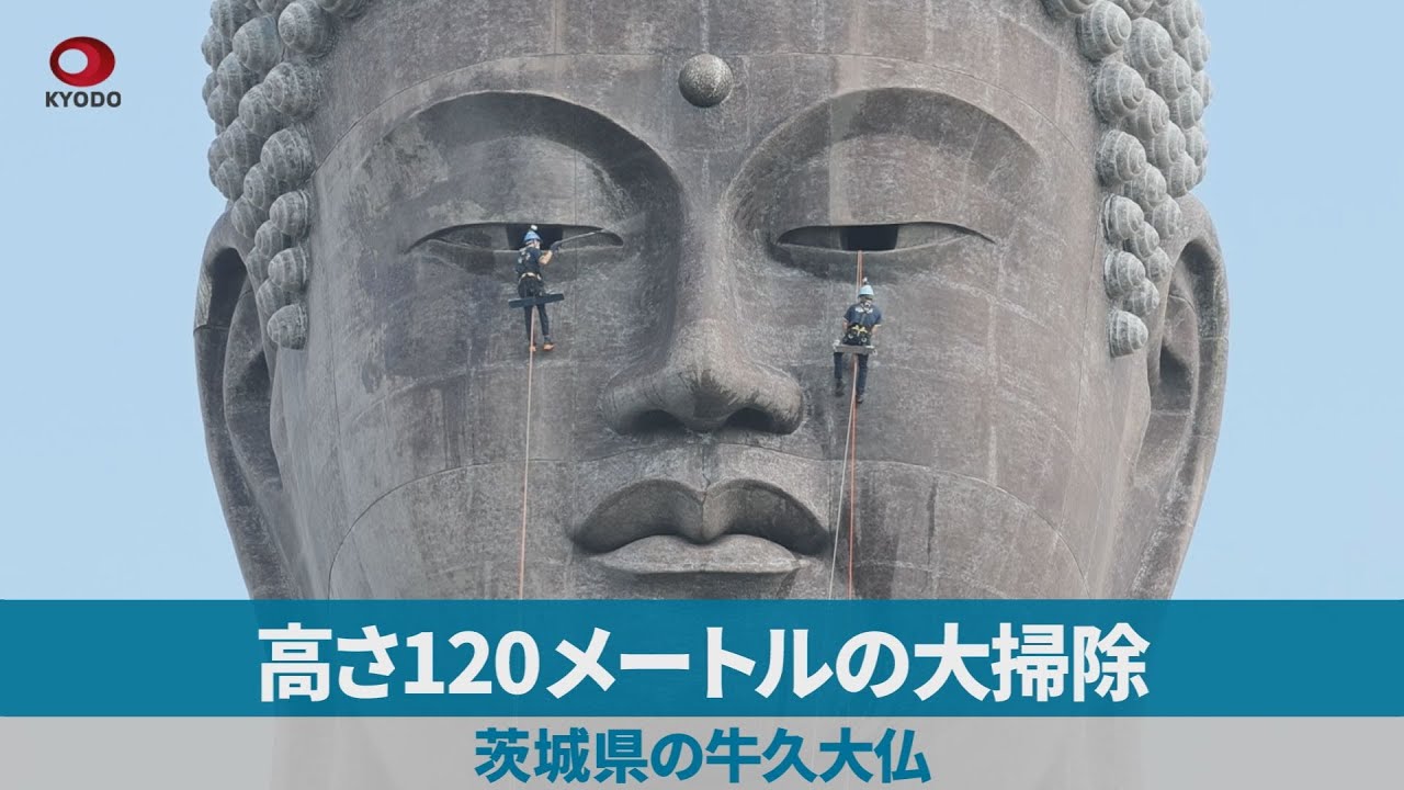 高さ120メートルの大掃除 茨城県の牛久大仏