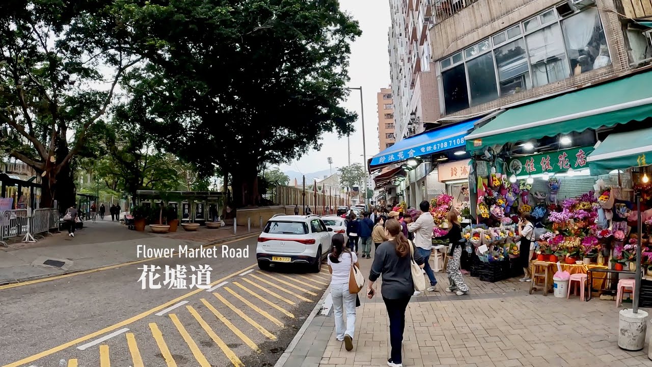 花墟道 | Flower Market Road | Walking in Hong Kong | 2026