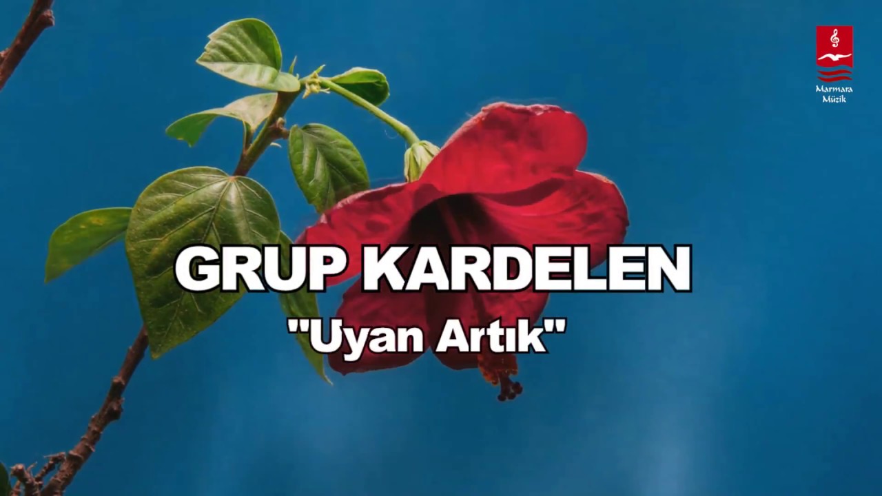 GRUP KARDELEN  