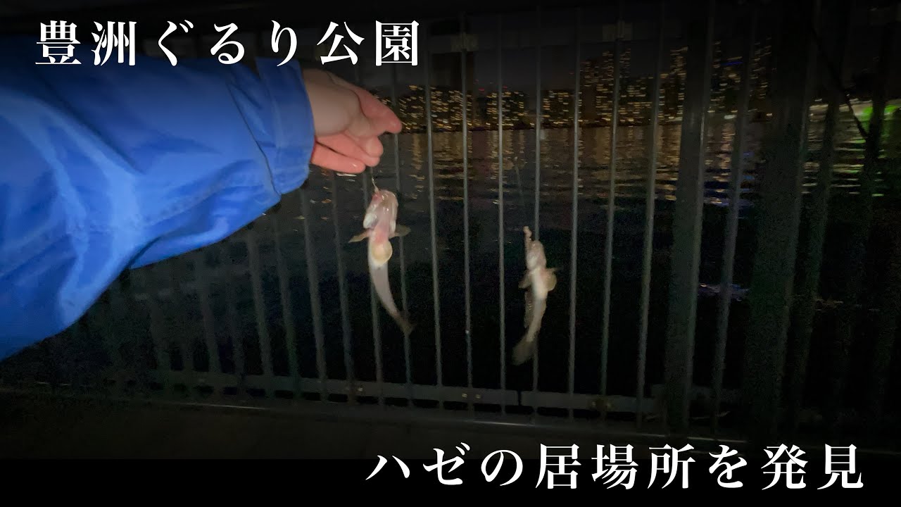 豊洲ぐるり公園でハゼ釣り。ついにハゼの居場所をみつけたぞー！（2025年1月4日）