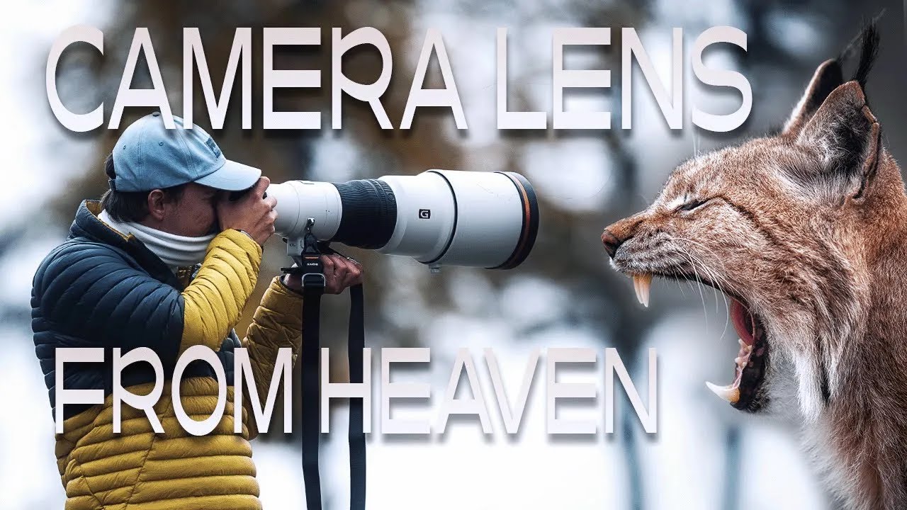Do You Really Need a 600mm Lens? | Sony 600mm f/4 GM Test