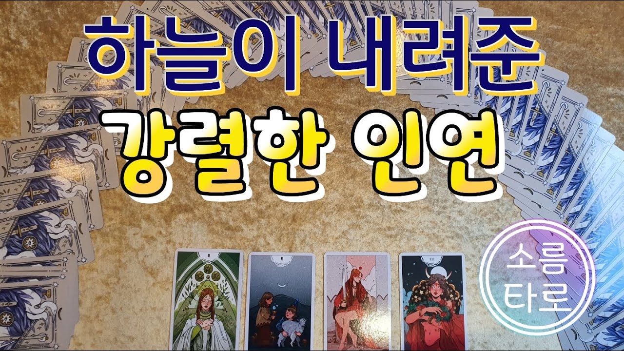 [타로/소름타로]하늘이 내려준 강력한 인연은??