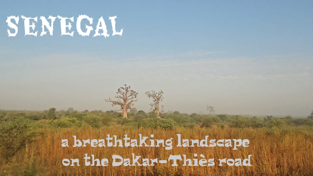 SENEGAL /  On the road from DAKAR to THIES, admire the beautiful scenery