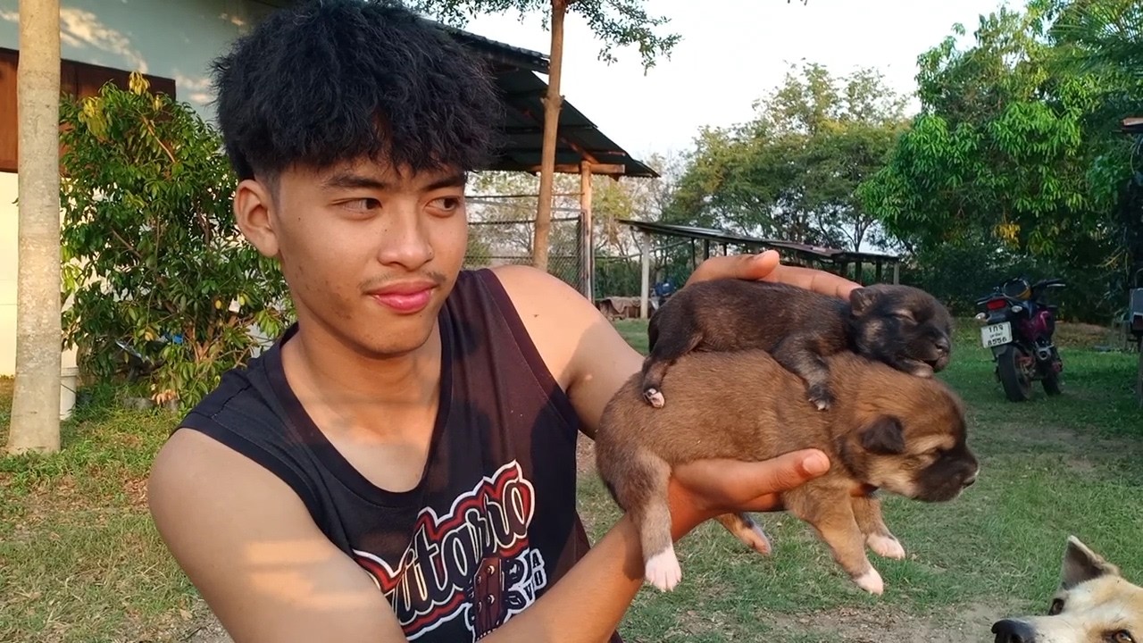 น้องตัวดำไม่โตเลย ไม่รู้เป็นอะไร นมก็ไม่ค่อยกินไม่แข็งแรง.