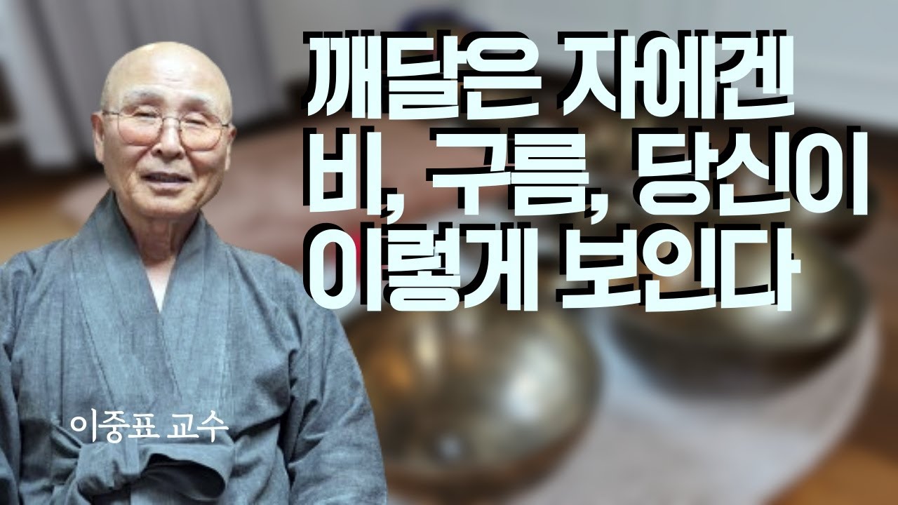 정견을 갖추면 언어로 개념적 사고를 하지않고, 이런 사고로 전환  | 이중표 교수 | 인간붓다