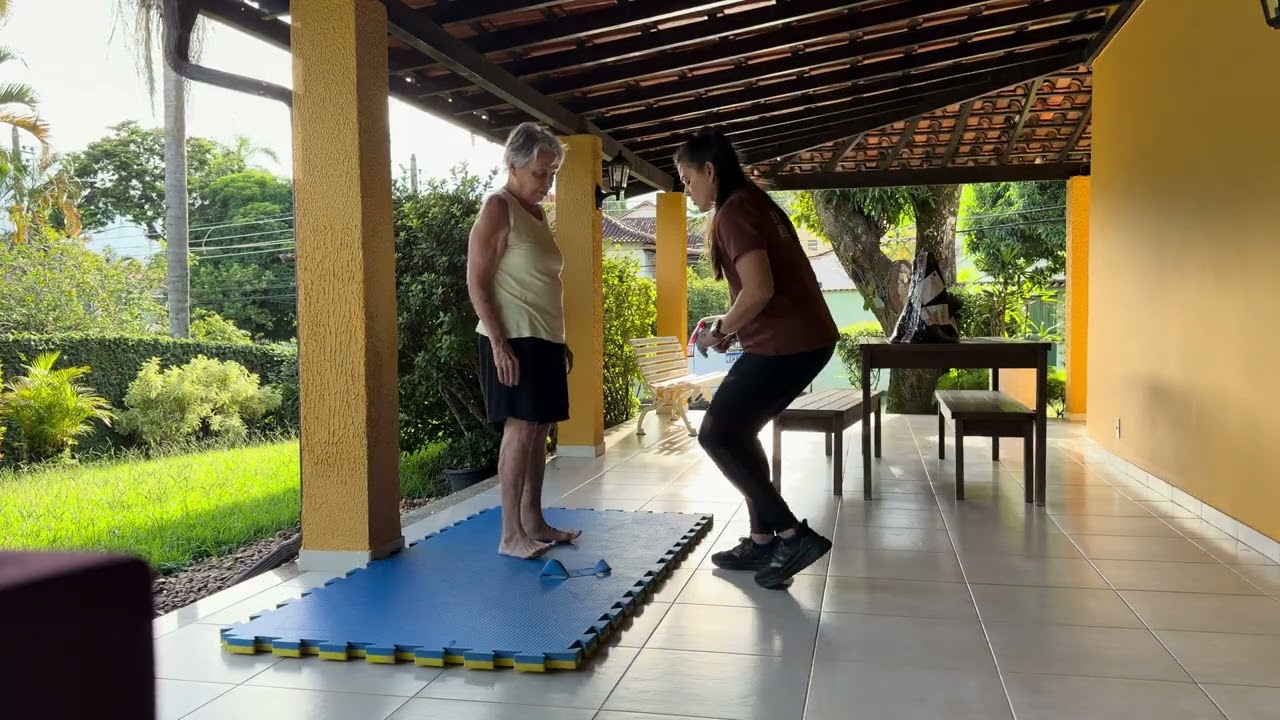 EXERCÍCIOS FÍSICOS SISTEMATIZADOS