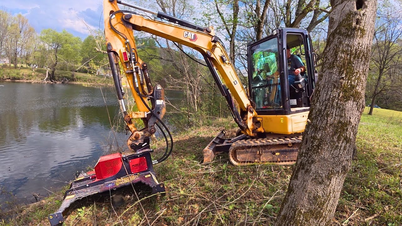 Will This NEW Mongo Brush Cutter Actually Live Up To The Hype?