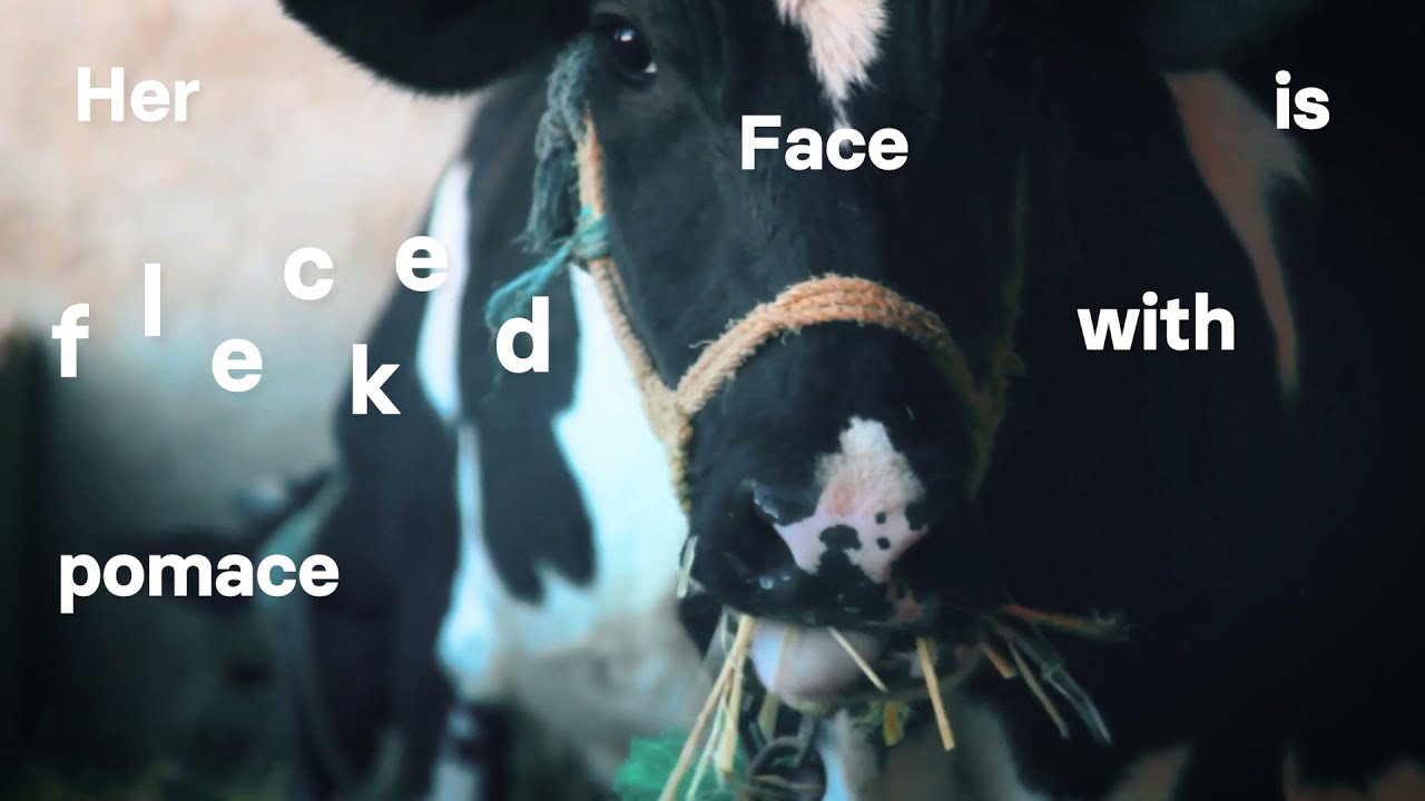 The Cow in Apple Time - AP Literature Illuminated Poetry Project