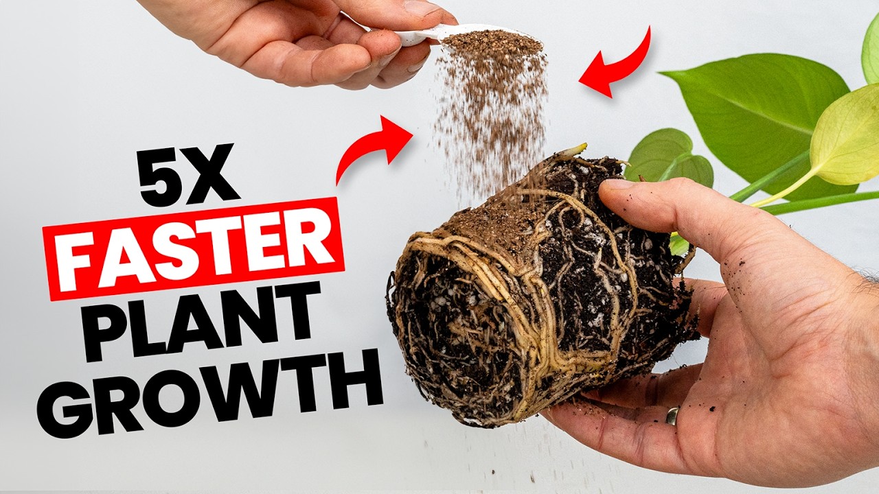 My Plants' Growth Exploded Once I Did This