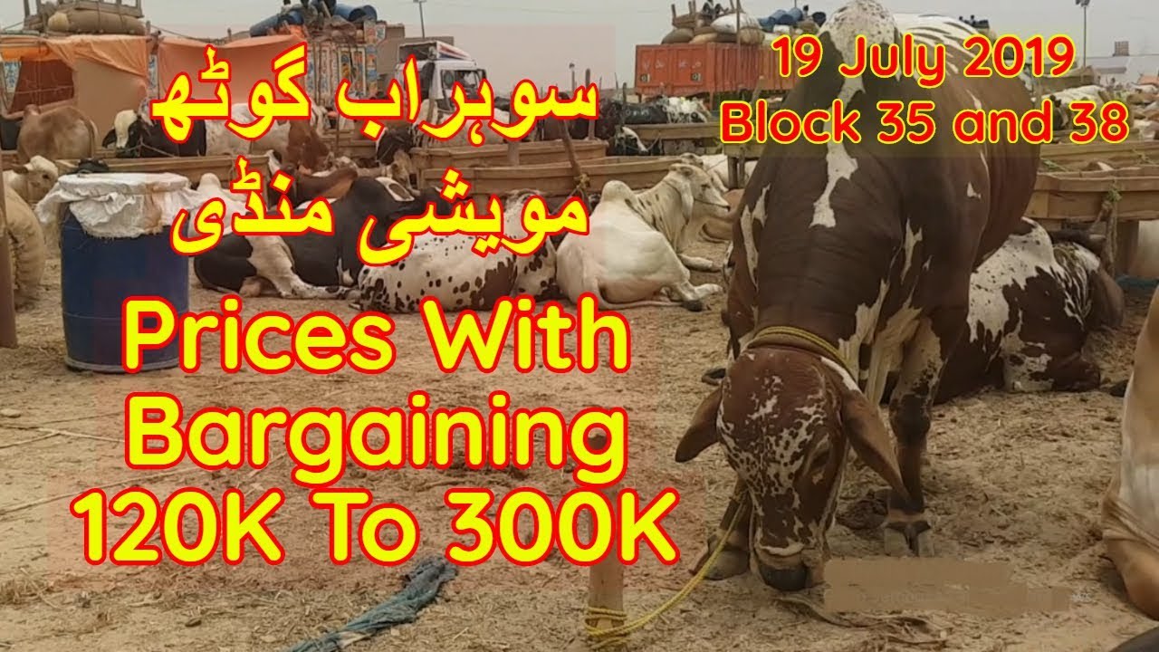 Sohrab Goth Cow Mandi Block 35 and 38 Prices Update 19 July 2019