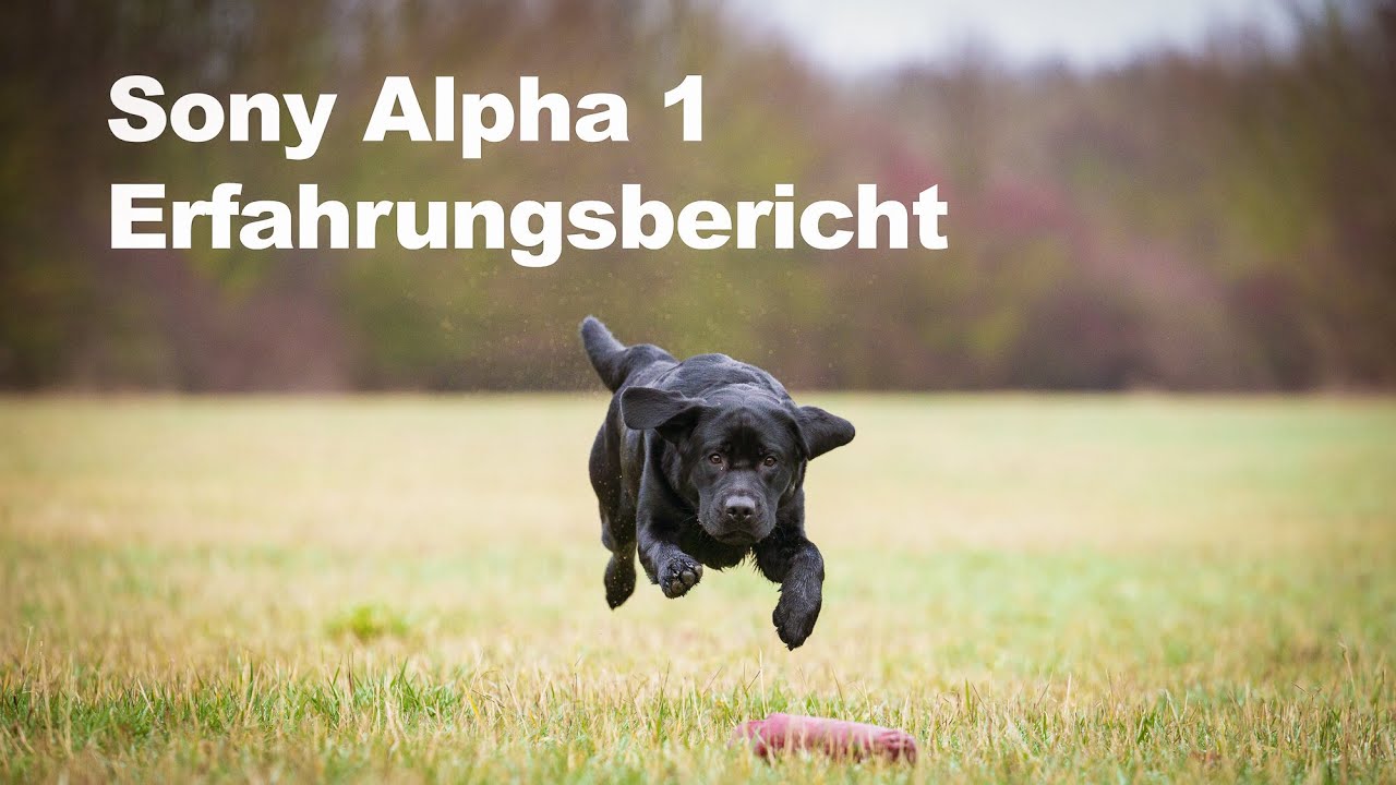 Sony ALPHA 1 - Ein Erfahrungsbericht