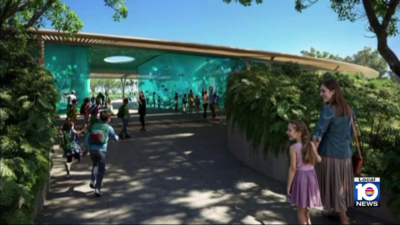 Renderings released of Miami Seaquarium redevelopment plan