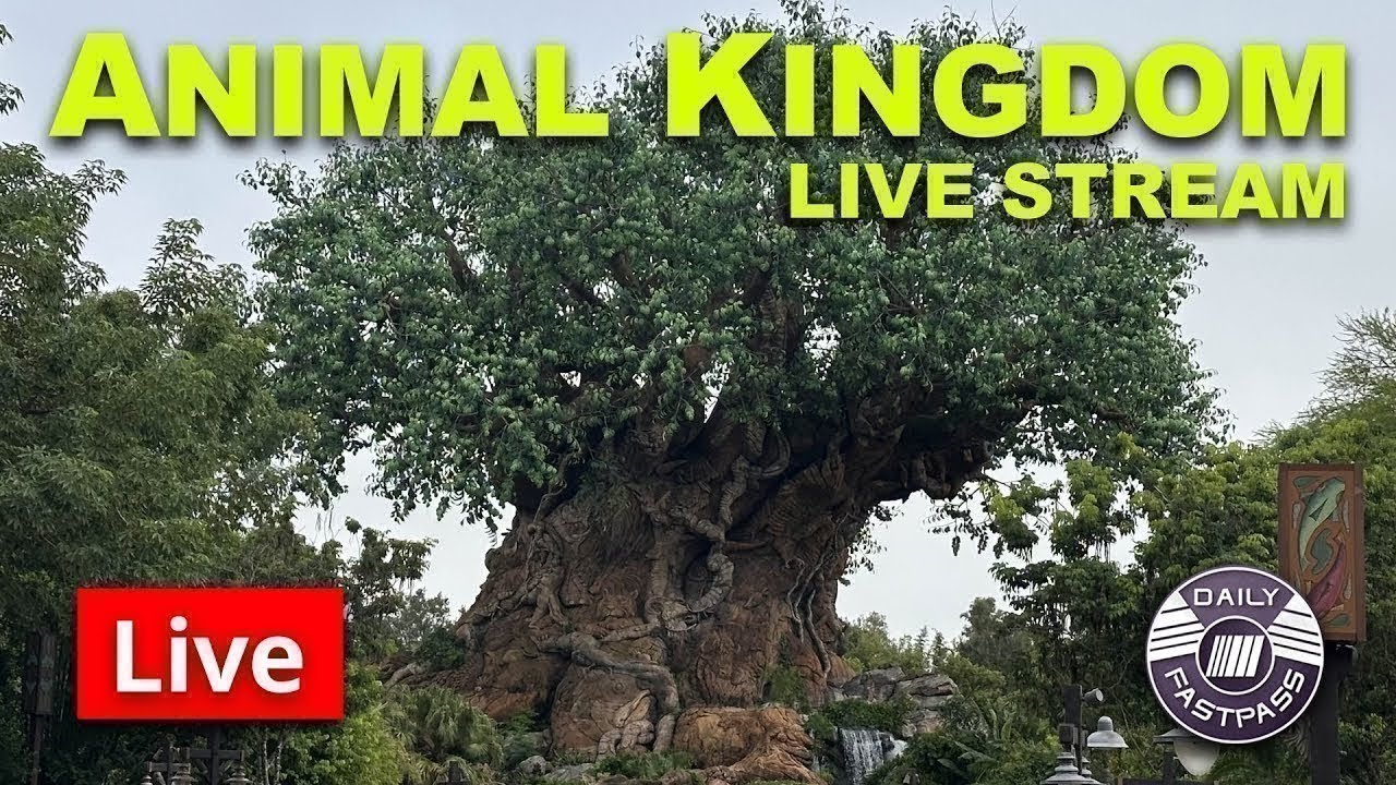 🔴 Live: Animal Kingdom Rope Drop Rides & More Tuesday Morning | Disney World Live Stream 1.13.2026