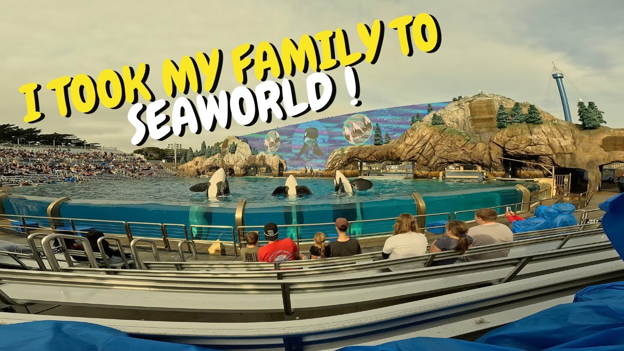 I TOOK MY FAMILY TO SEAWORLD!