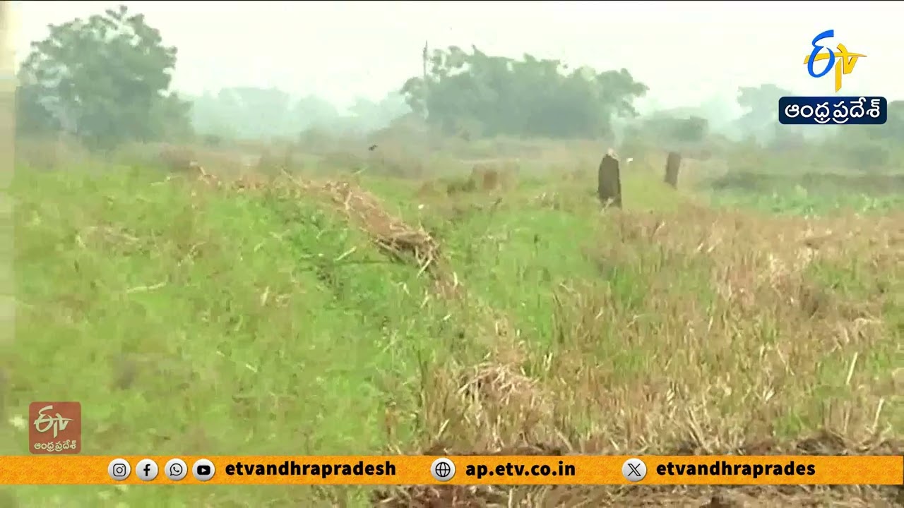 రైతుల భాగస్వామ్యంతో రీ సర్వే 2.0  | Resurvey 2.0 with Farmers' Participation | Minister Anagani