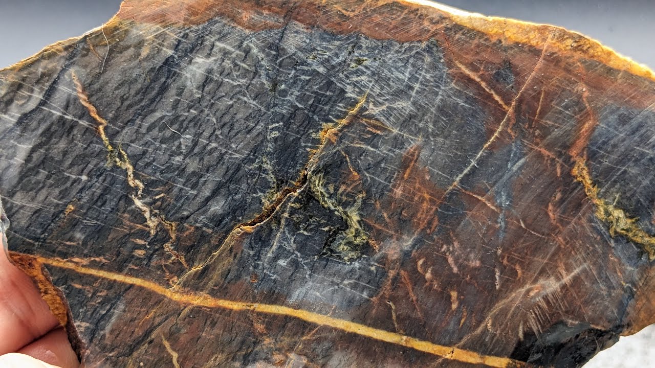 Slabs Of My Largest Petrified Wood Specimen Returned From @manisteerocks7092!