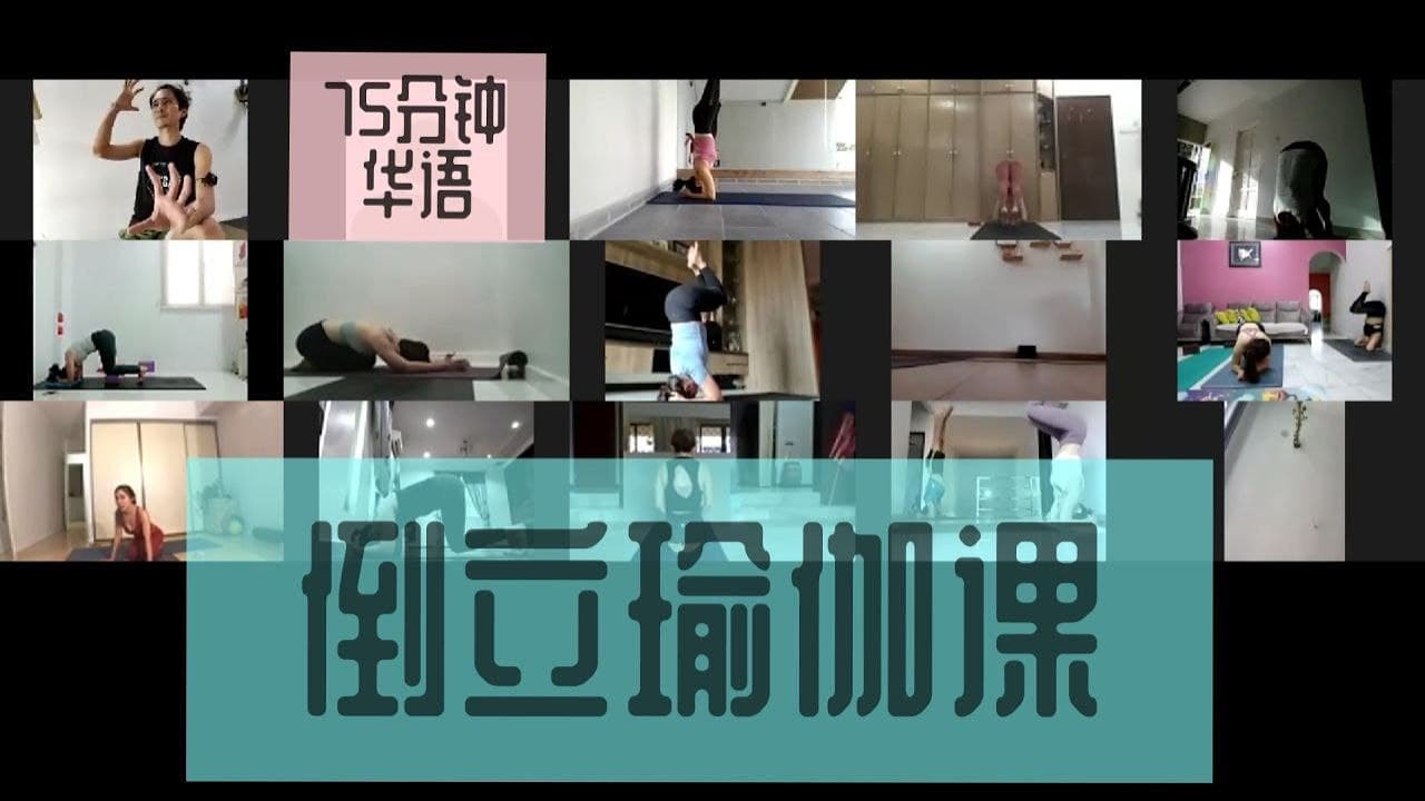 Inversion Special Yoga Class (Headstand to Pincha Mayurasana) 倒立瑜伽课  75 分钟 (中文) 5