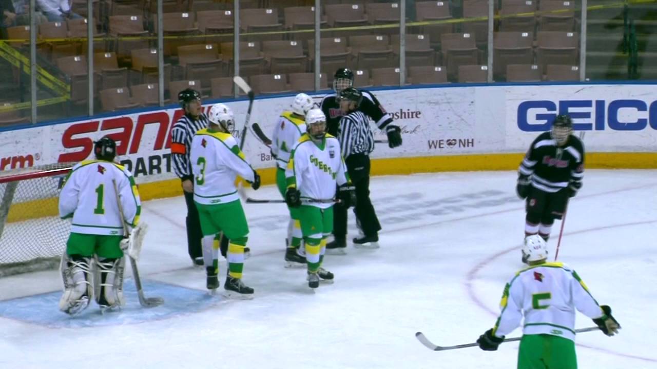 Bishop Guertin vs Bedford NHIAA Div. 1 Hockey Final 3/19/16  HD