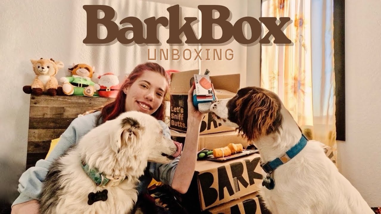 *ОГРОМНЫЙ* переезд BarkBox: распаковка 6 BarkBox
