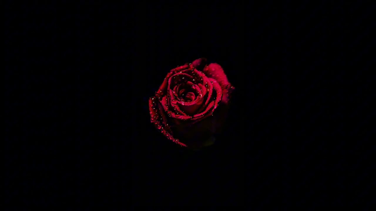 [FREE] EMOTIONAL BOOM BAP TYPE BEAT 