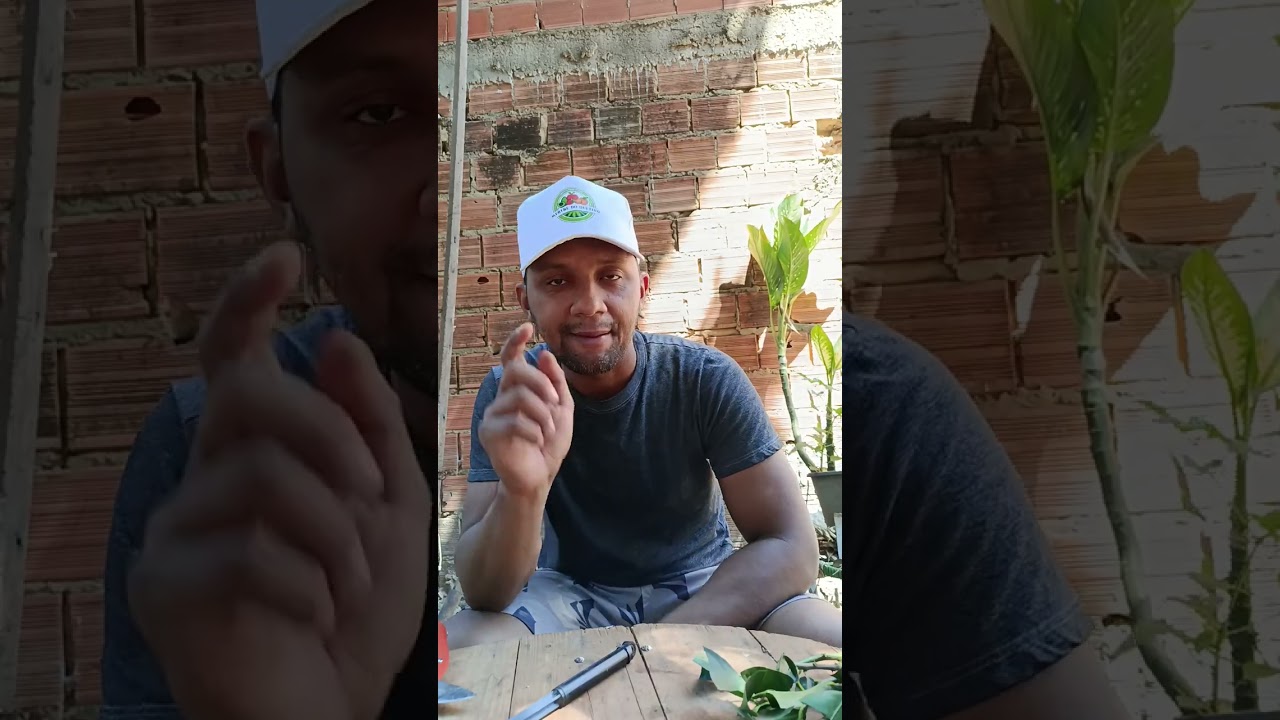 Testando o enraizador &aacute;cido indolbut&iacute;rico AIB 6000 ppm,ser&aacute; se vai corresponder!