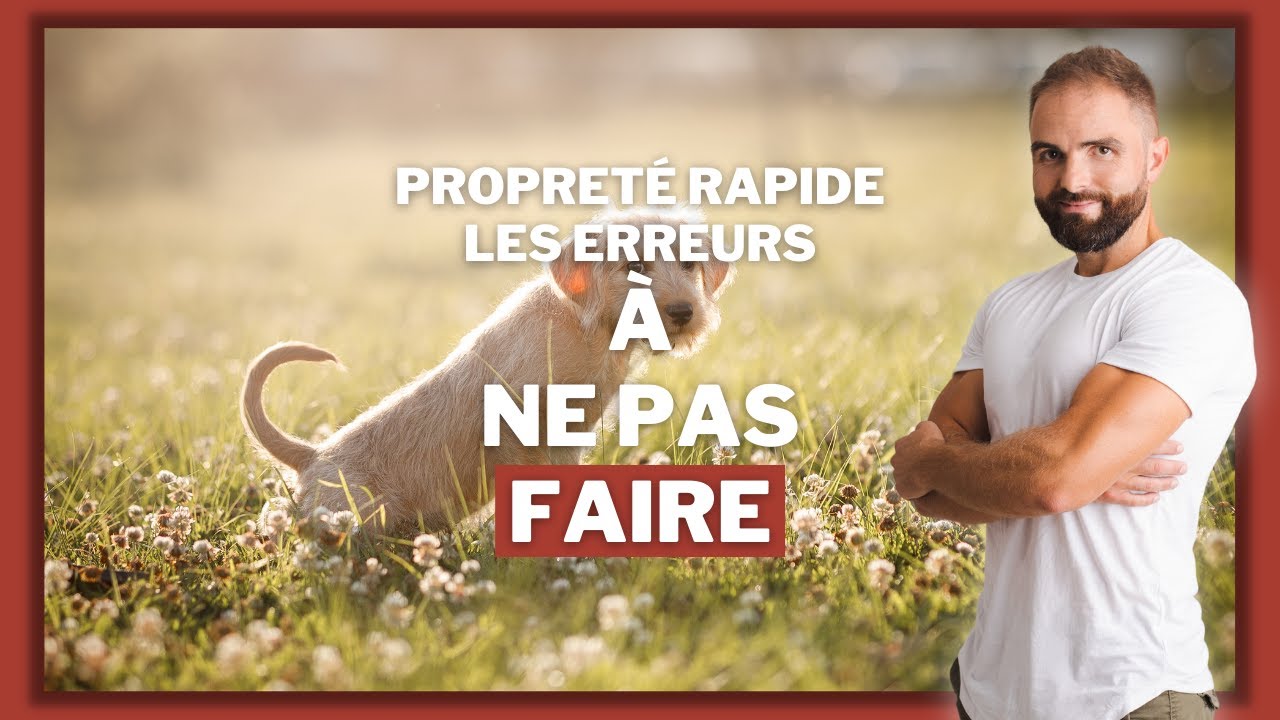 Apprendre la propret&eacute; chez le chiot : les erreurs &agrave; &eacute;viter